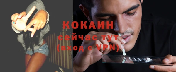 кокс Богородицк