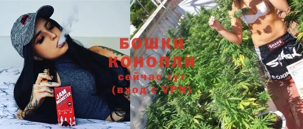 кокс Богородицк