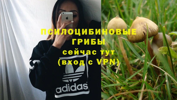 кокс Богородицк