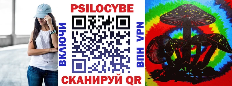 Псилоцибиновые грибы Cubensis как найти Электрогорск